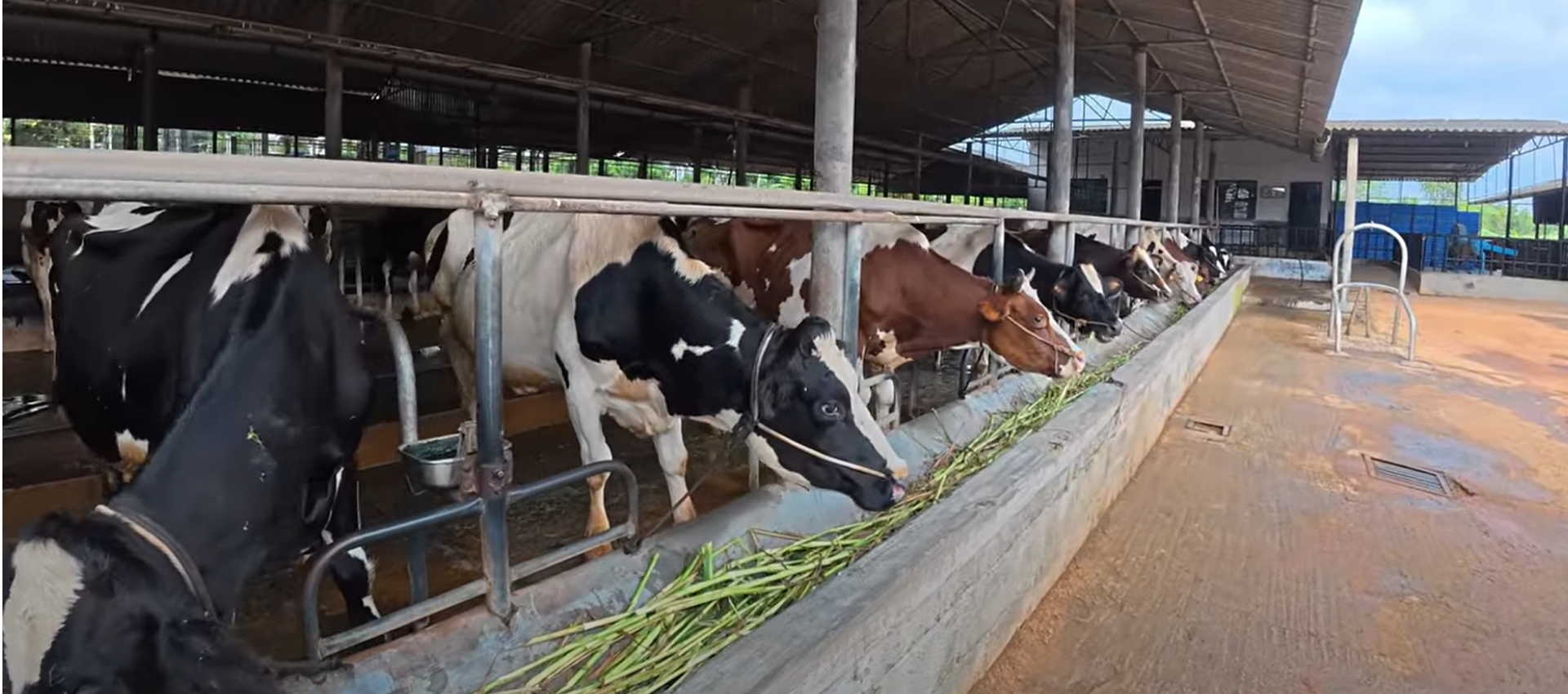 Temple background Image